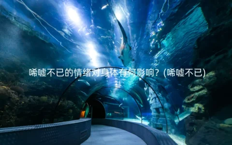 唏嘘不已的情绪对身体有何影响？(唏嘘不已)