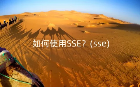 如何使用SSE？(sse)