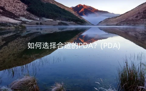 如何选择合适的PDA？(PDA)