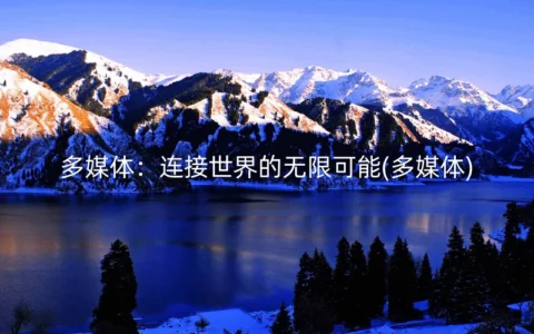 多媒体：连接世界的无限可能(多媒体)