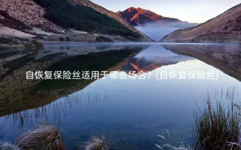 自恢复保险丝适用于哪些场合？(自恢复保险丝)