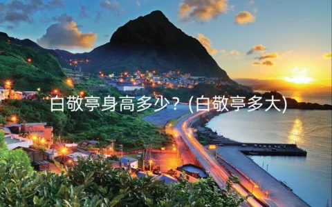 白敬亭身高多少？(白敬亭多大)