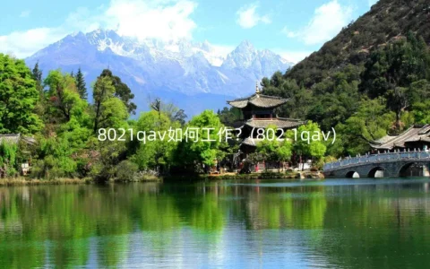 8021qav如何工作？(802.1qav)