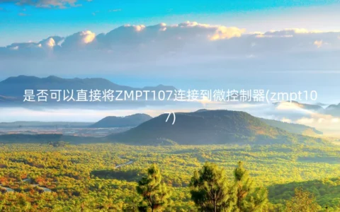 是否可以直接将ZMPT107连接到微控制器(zmpt107)