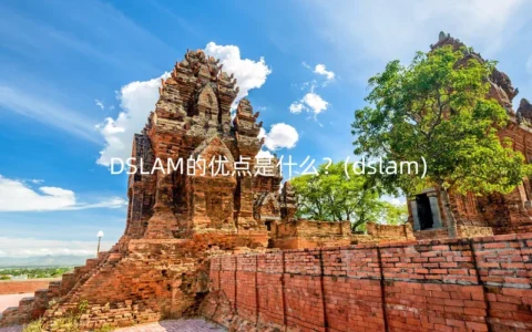 DSLAM的优点是什么？(dslam)