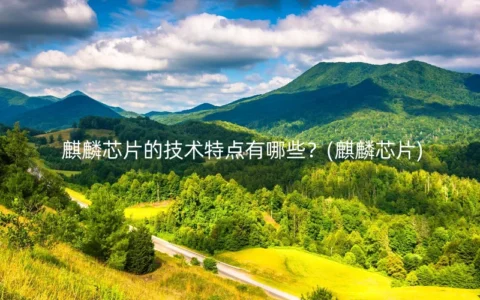 麒麟芯片的技术特点有哪些？(麒麟芯片)