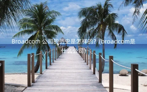 Broadcom 公司的历史是怎样的？(broadcom是什么公司)