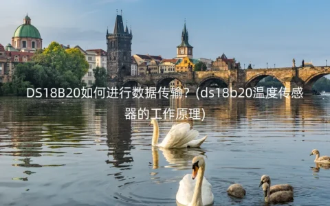 DS18B20如何进行数据传输？(ds18b20温度传感器的工作原理)