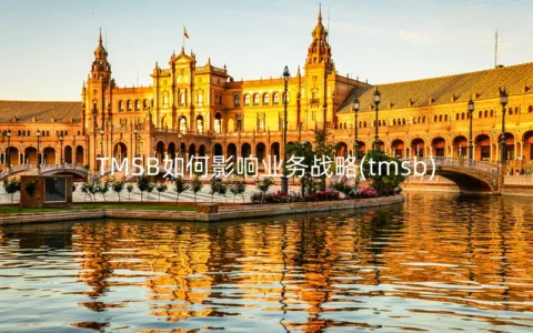 TMSB如何影响业务战略(tmsb)