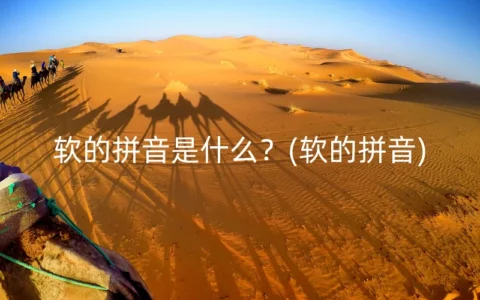 软的拼音是什么？(软的拼音)