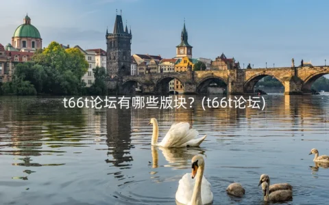 t66t论坛有哪些版块？(t66t论坛)