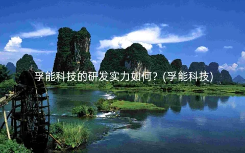 孚能科技的研发实力如何？(孚能科技)