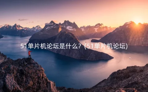 51单片机论坛是什么？(51单片机论坛)