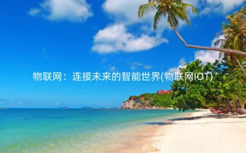 物联网：连接未来的智能世界(物联网IOT)