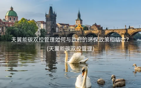 天翼能碳双控管理如何与政府的环保政策相结合？(天翼能碳双控管理)