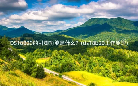 DS18B20的引脚功能是什么？(ds18b20工作原理)