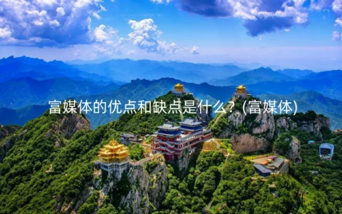 富媒体的优点和缺点是什么？(富媒体)