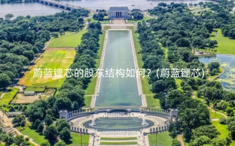 蔚蓝锂芯的股东结构如何？(蔚蓝锂芯)