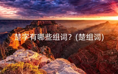 楚字有哪些组词？(楚组词)