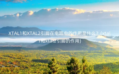 XTAL1和XTAL2引脚在电路中的作用是什么？(xtal1和xtal2引脚的作用)