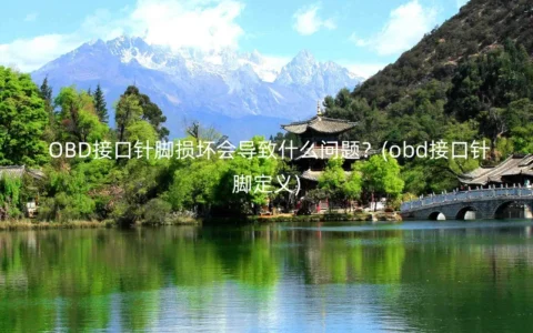 OBD接口针脚损坏会导致什么问题？(obd接口针脚定义)