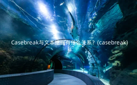 Casebreak与文本挖掘有什么关系？(casebreak)