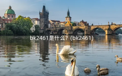 bk2461是什么？(bk2461)