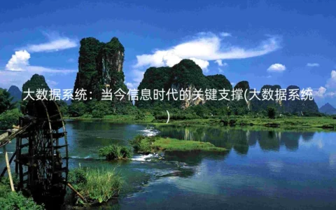 大数据系统：当今信息时代的关键支撑(大数据系统)