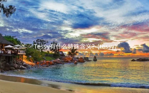 Tessy有什么特殊含义？(tessy)