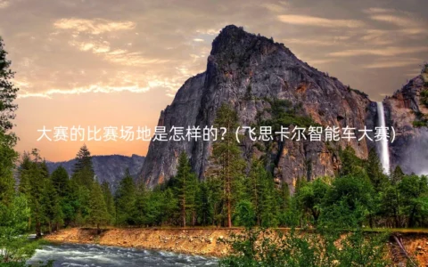 大赛的比赛场地是怎样的？(飞思卡尔智能车大赛)