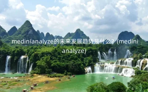 medinianalyze的未来发展趋势是什么？(medinianalyze)