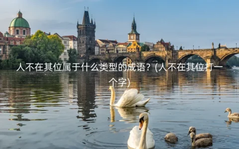 人不在其位属于什么类型的成语？(人不在其位打一个字)