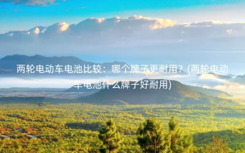 两轮电动车电池比较：哪个牌子更耐用？(两轮电动车电池什么牌子好耐用)