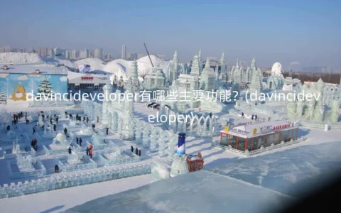 davincideveloper有哪些主要功能？(davincideveloper)