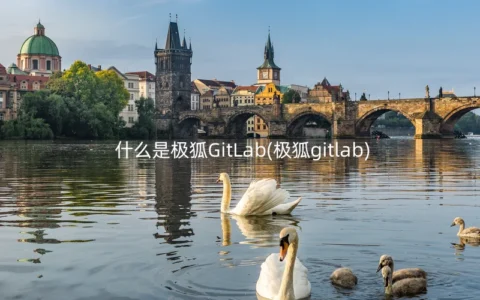 什么是极狐GitLab(极狐gitlab)