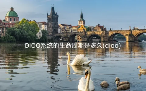 DIOO系统的生命周期是多久(dioo)