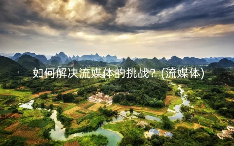 如何解决流媒体的挑战？(流媒体)