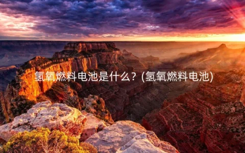 氢氧燃料电池是什么？(氢氧燃料电池)