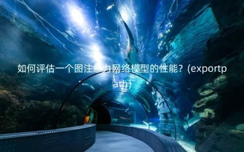 如何评估一个图注意力网络模型的性能？(exportpath)