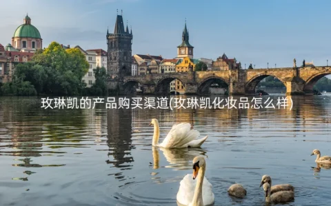 玫琳凯的产品购买渠道(玫琳凯化妆品怎么样)