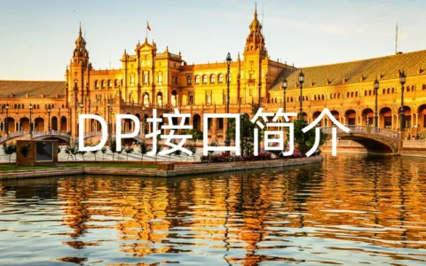 DP接口简介