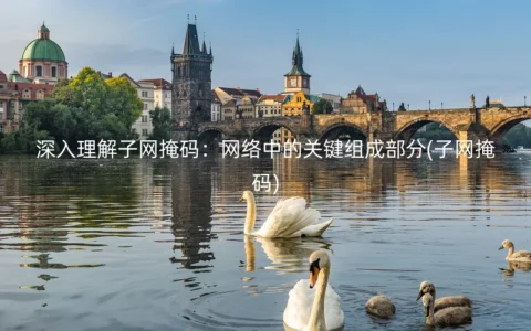 深入理解子网掩码：网络中的关键组成部分(子网掩码)