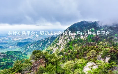 芯片交易平台：驱动未来的技术市场(芯片交易平台)