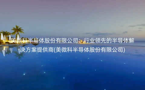 美微科半导体股份有限公司：行业领先的半导体解决方案提供商(美微科半导体股份有限公司)