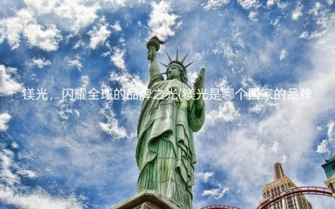镁光，闪耀全球的品牌之光(镁光是哪个国家的品牌)