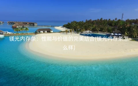 镁光内存条：性能与价值的完美结合(镁光内存条怎么样)