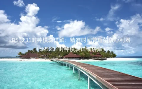 DS3231时钟模块详解：精准时间管理的核心利器（ds3231时钟模块详细讲解）
