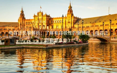 电容正负极辨析：了解电容极性的重要性（电容正负极怎么分）