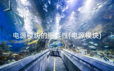 电源模块的重要性(电源模块)