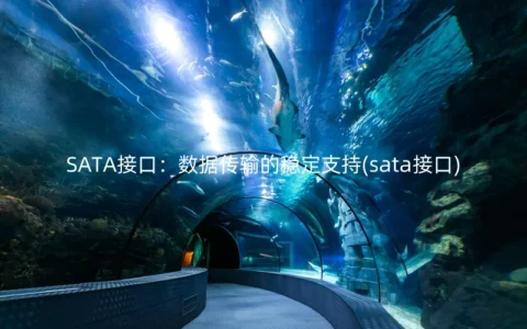 SATA接口：数据传输的稳定支持(sata接口)